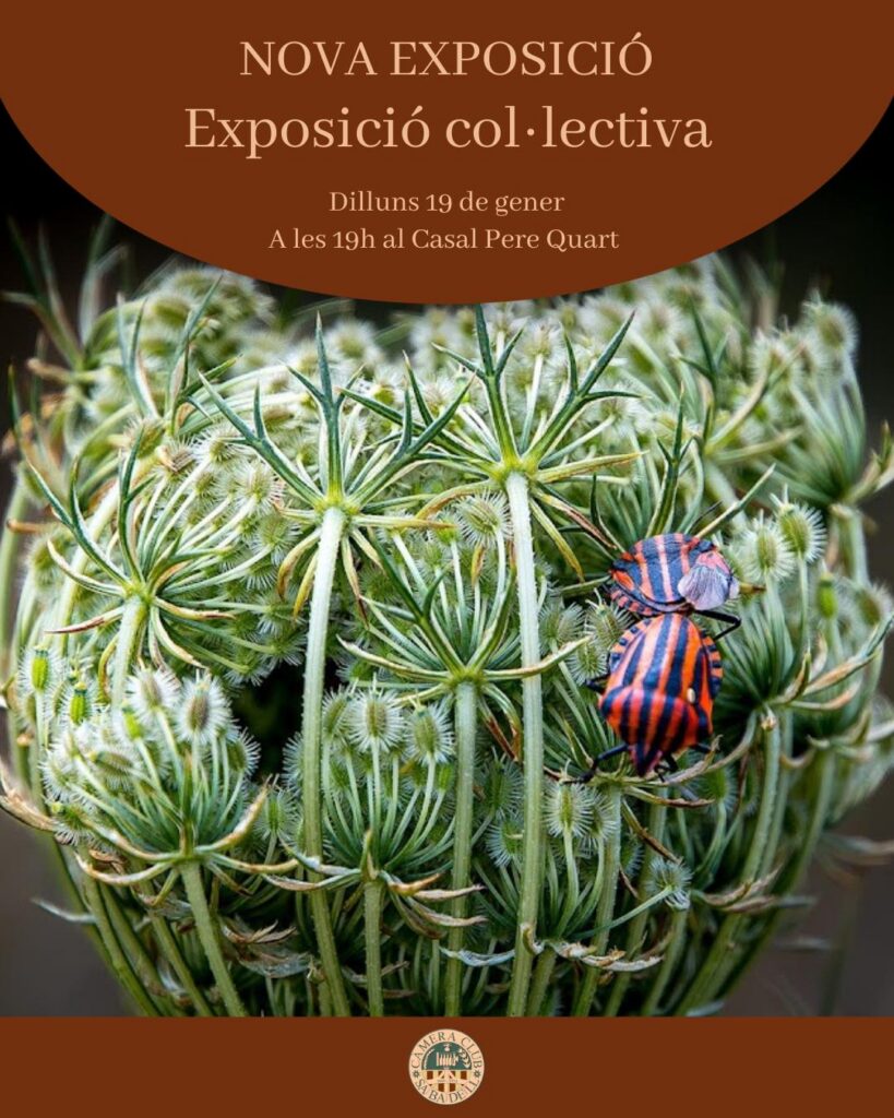 xposició col·lectiva 2025 Casal Pere IV Sabadell
